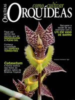 Como Cultivar Orquídeas